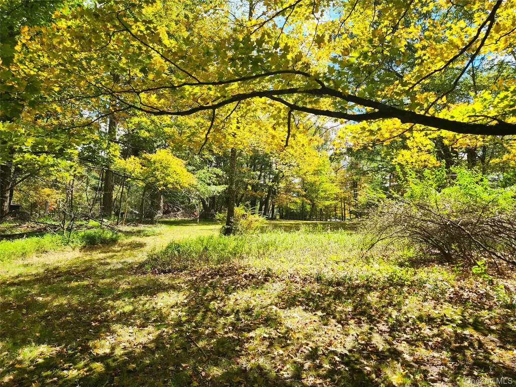 107 E Thompson Place Smallwood NY 12778