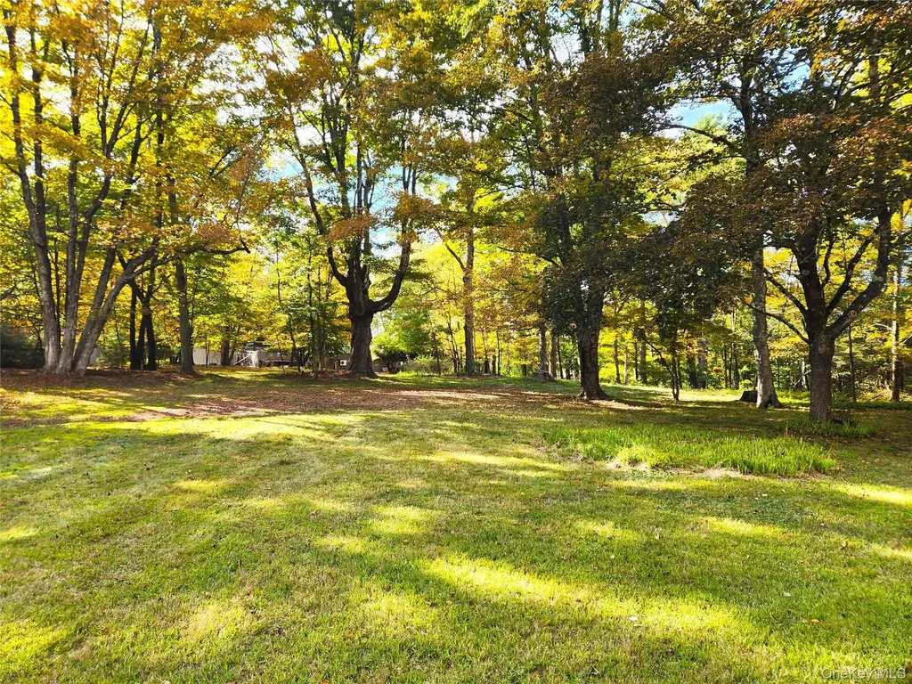 107 E Thompson Place Smallwood NY 12778