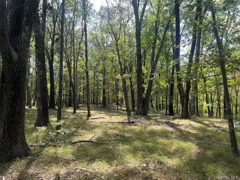 33 Raspberry Lane Carmel NY 10512