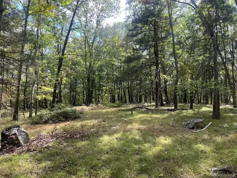 33 Raspberry Lane Carmel NY 10512