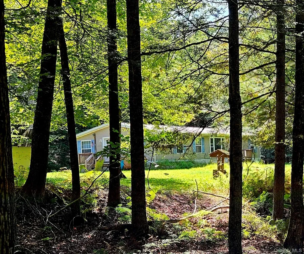 168 Cr 94 Fremont NY 12723