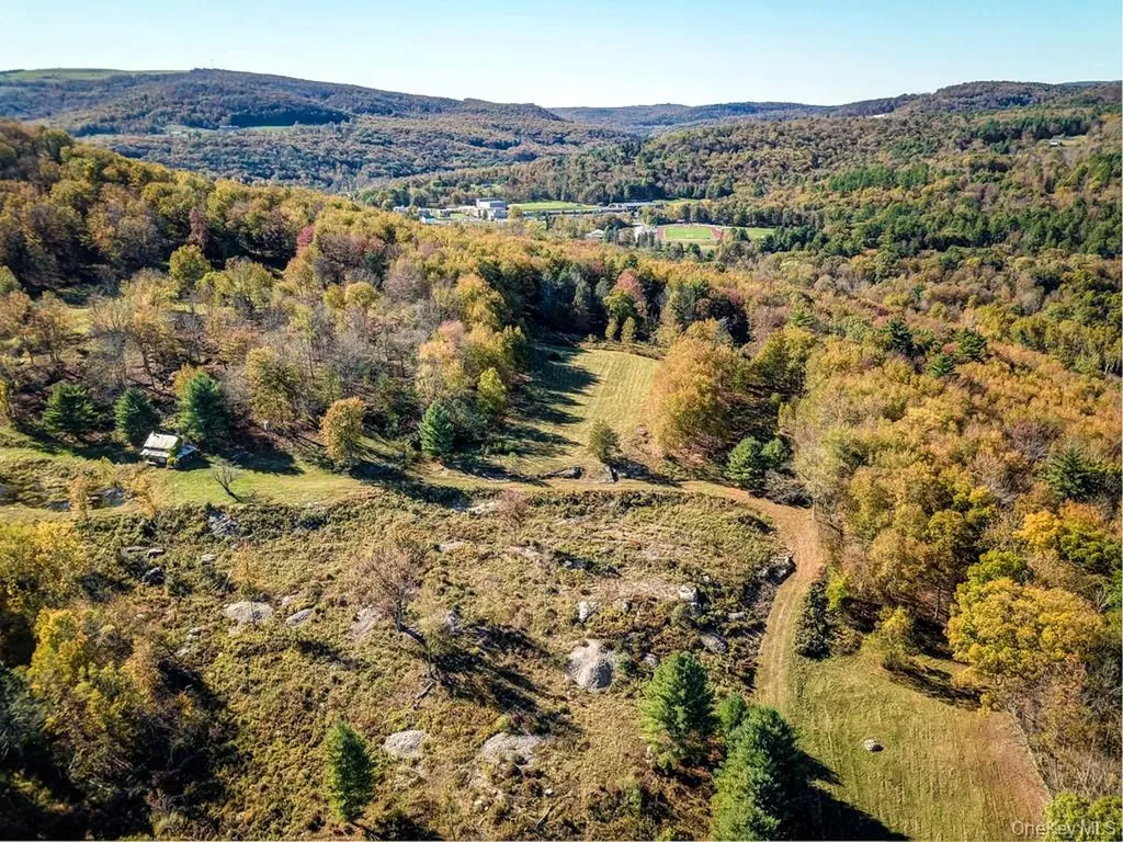 Tbd State Route 55 And Smith Lane Neversink NY 12765