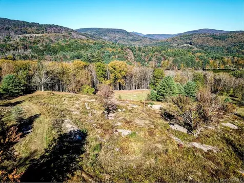 Tbd State Route 55 And Smith Lane Neversink NY 12765