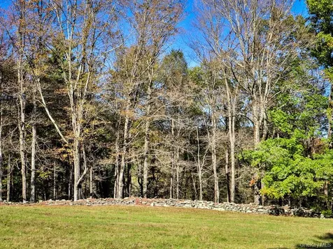 Tbd State Route 55 And Smith Lane Neversink NY 12765
