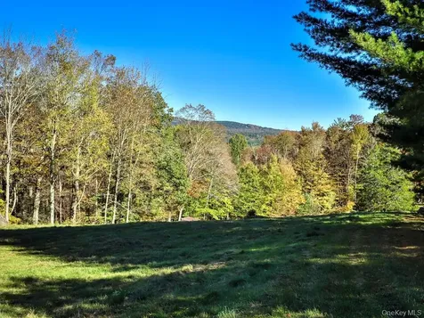 Tbd State Route 55 And Smith Lane Neversink NY 12765