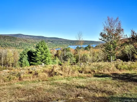 Tbd State Route 55 And Smith Lane Neversink NY 12765