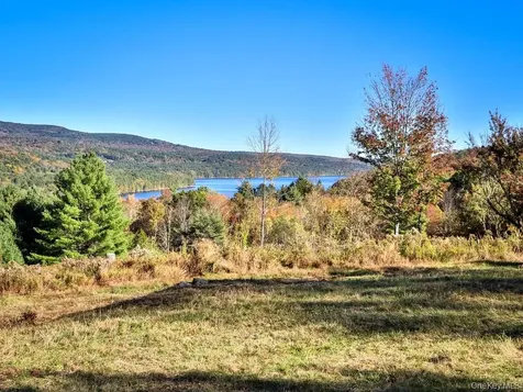 Tbd State Route 55 And Smith Lane Neversink NY 12765