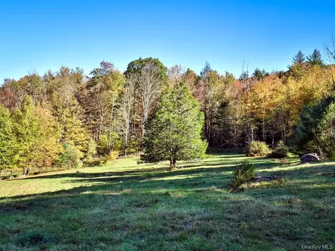 Tbd State Route 55 And Smith Lane Neversink NY 12765