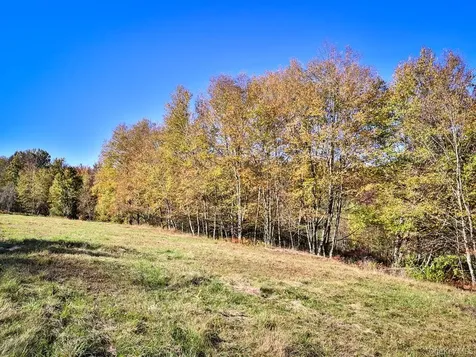 Tbd State Route 55 And Smith Lane Neversink NY 12765