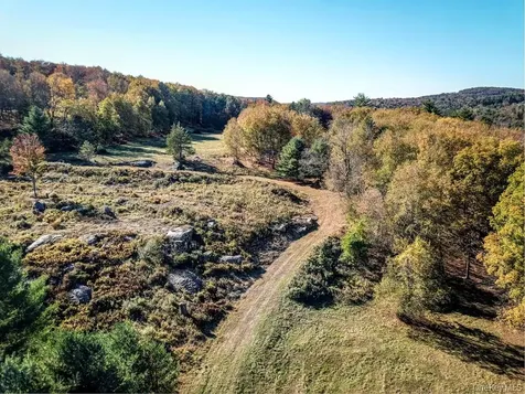 Tbd State Route 55 And Smith Lane Neversink NY 12765