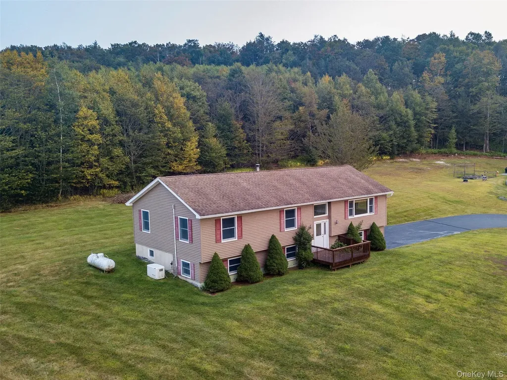 376 Wade Road Liberty NY 12754