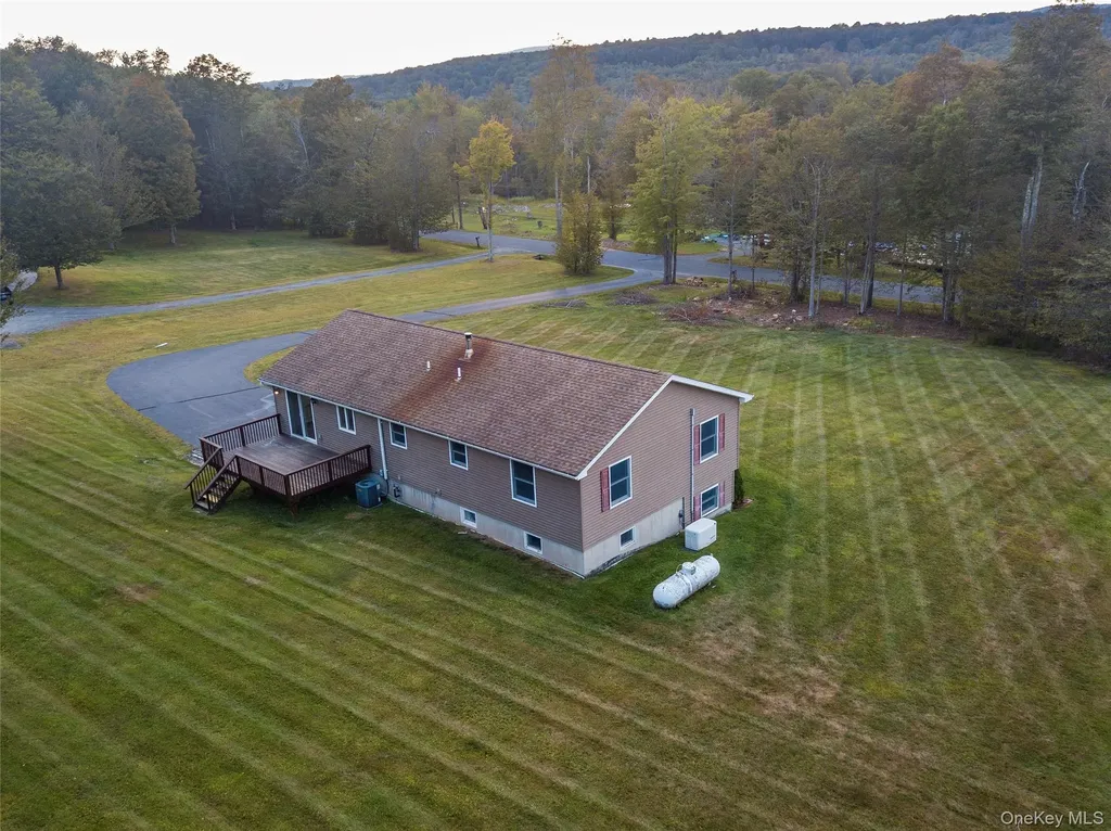 376 Wade Road Liberty NY 12754