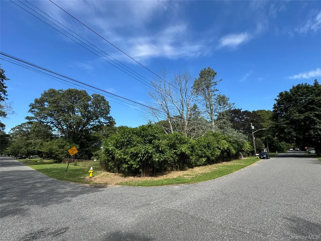 4 Olive Lane Shirley NY 11967