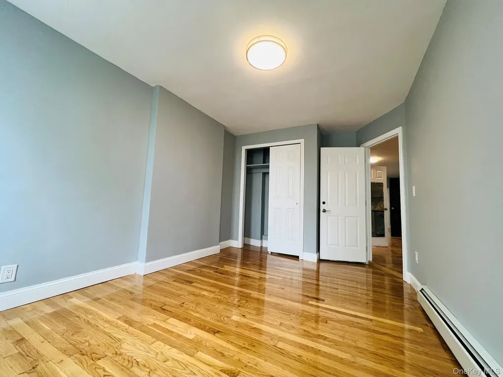 165 Chestnut Street Brooklyn NY 11208