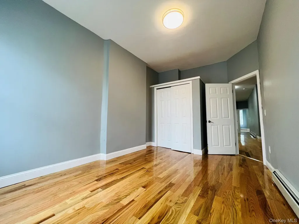 165 Chestnut Street Brooklyn NY 11208