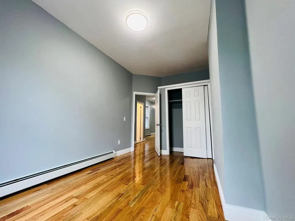 165 Chestnut Street Brooklyn NY 11208