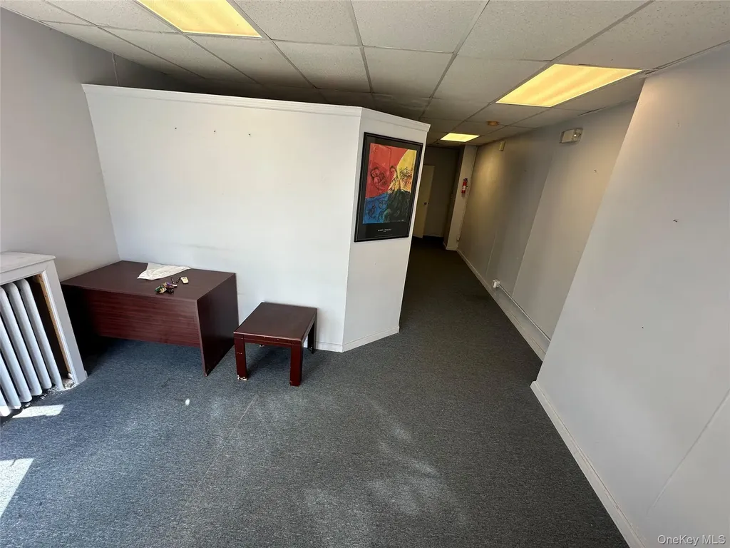208 Willis Avenue Mineola NY 11501