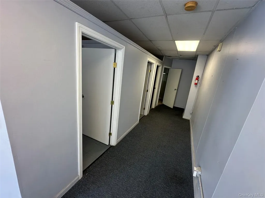 208 Willis Avenue Mineola NY 11501