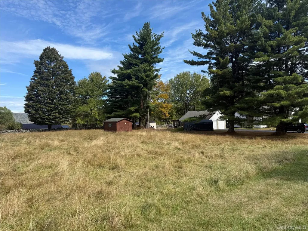 Hall Road Grahamsville NY 12740