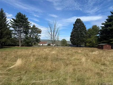 Hall Road Grahamsville NY 12740