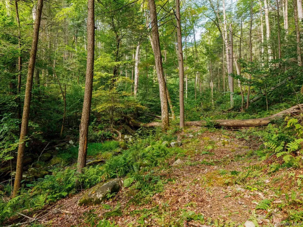 197 Trails End Road Kerhonkson NY 12446