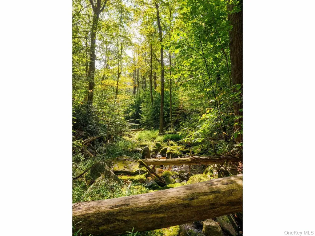 197 Trails End Road Kerhonkson NY 12446