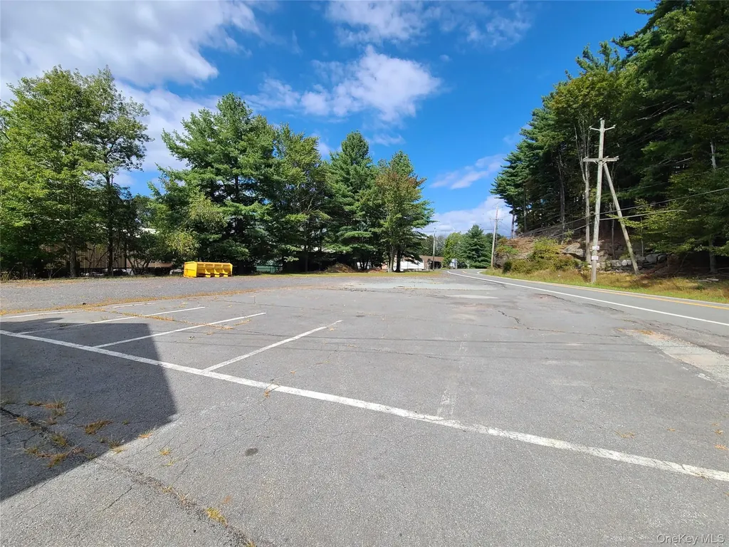 36 Cold Spring Road Monticello NY 12701