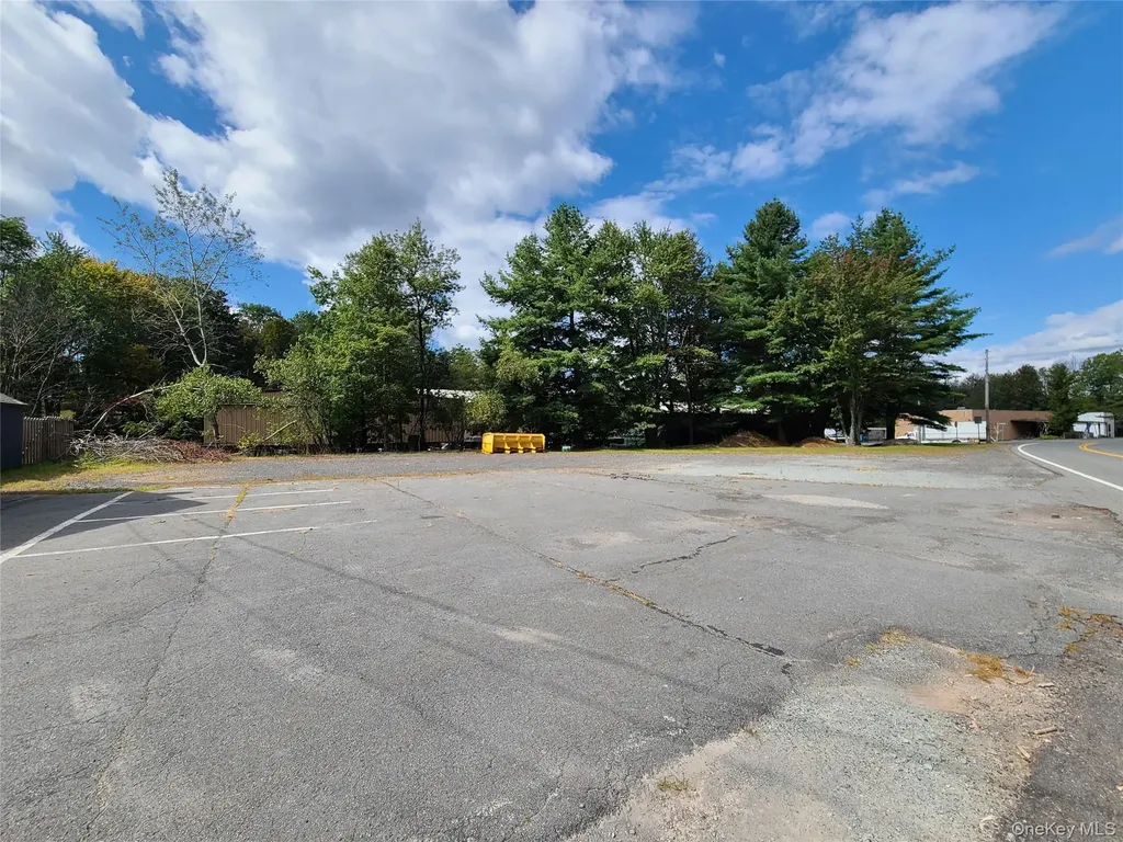 36 Cold Spring Road Monticello NY 12701