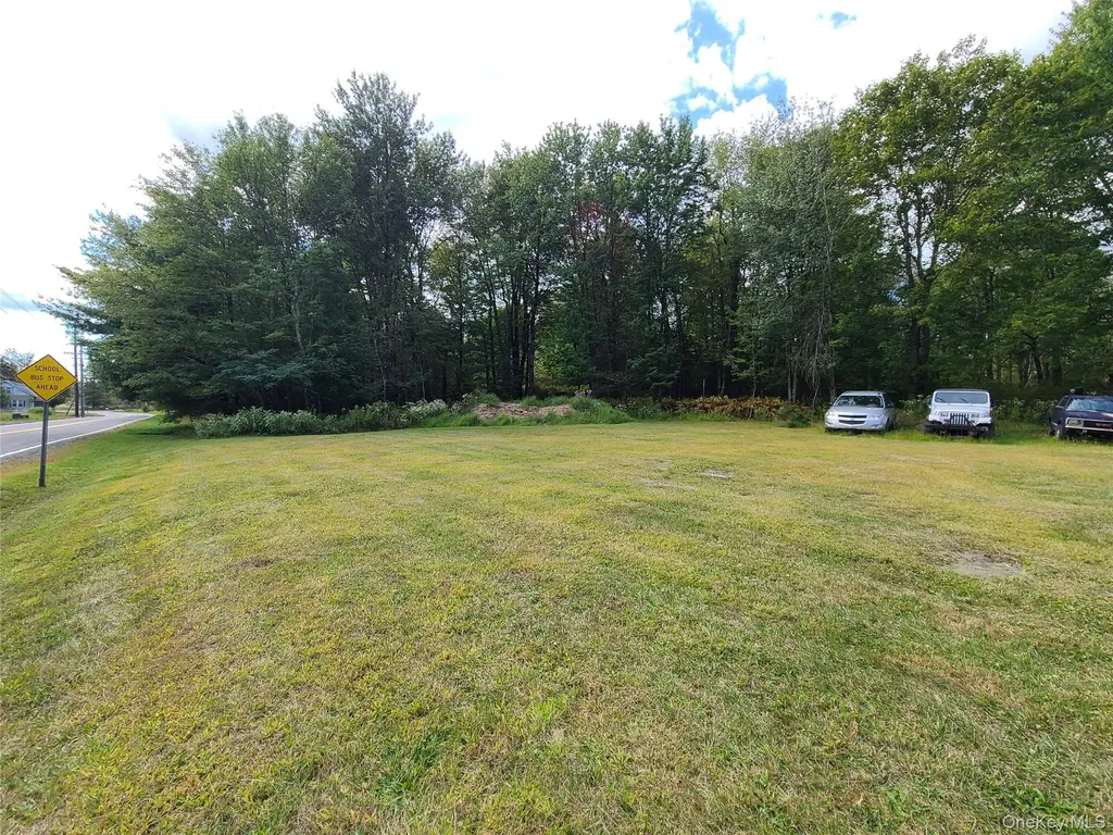 36 Cold Spring Road Monticello NY 12701