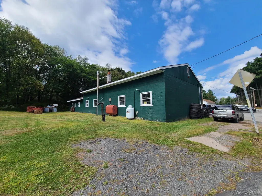 36 Cold Spring Road Monticello NY 12701