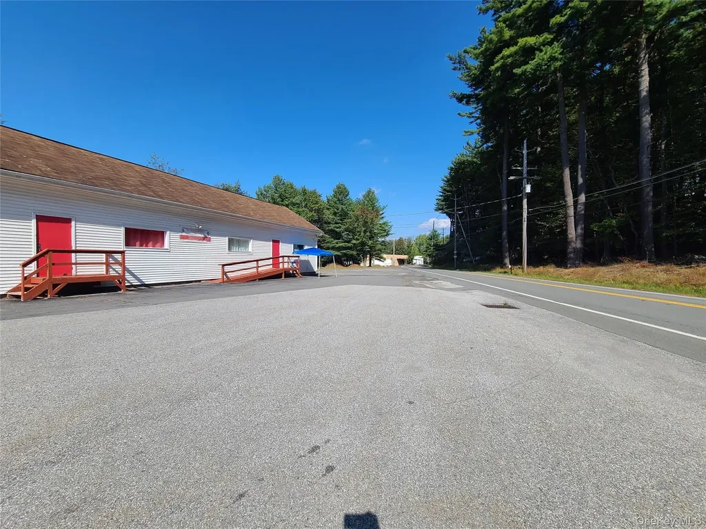 36 Cold Spring Road Monticello NY 12701