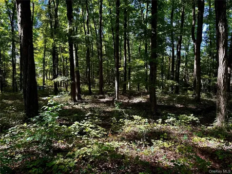 Freedom Road Lagrangeville NY 12569