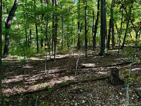 Freedom Road Lagrangeville NY 12569