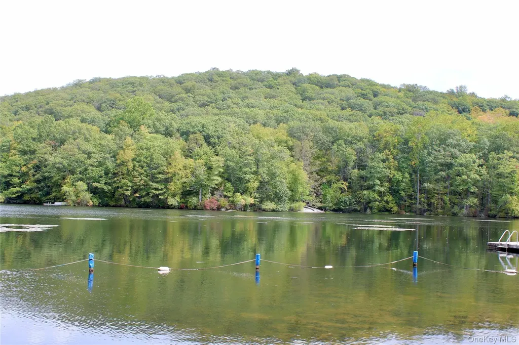 4 Deer Run Court Carmel NY 10512