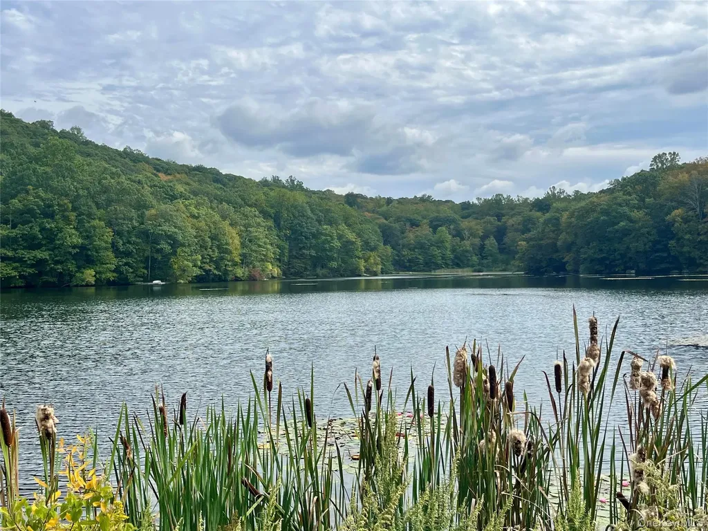 4 Deer Run Court Carmel NY 10512