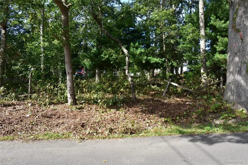 145 Clinton Avenue Mastic NY 11950