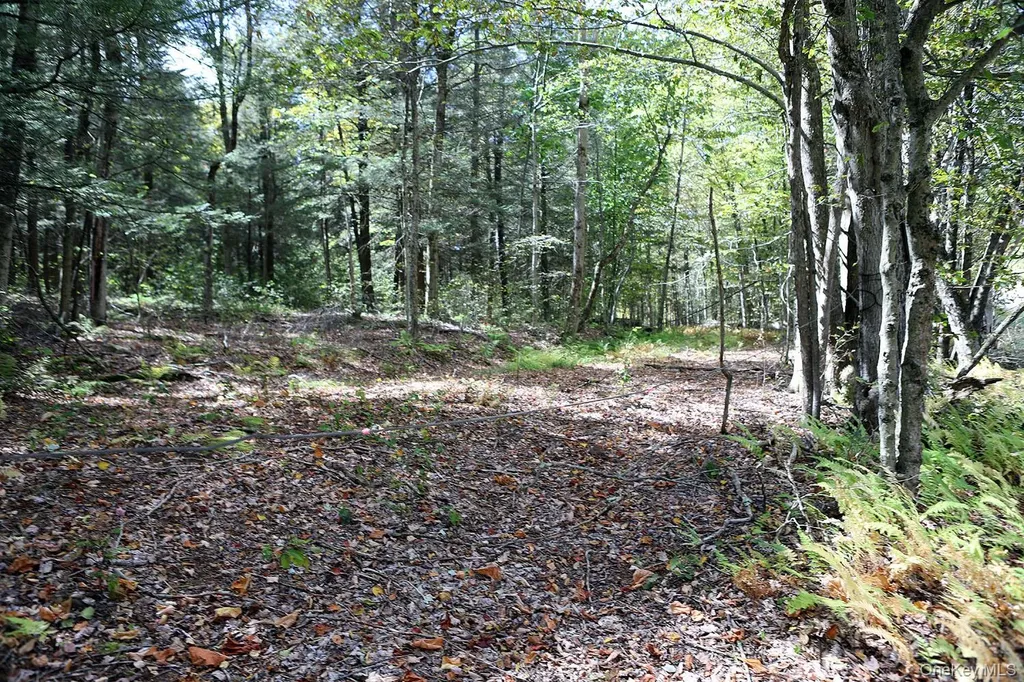 0 Rt-97 Long Eddy NY 13783
