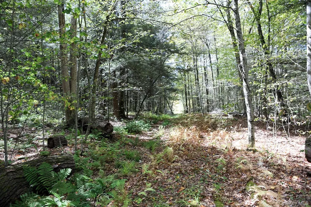 0 Rt-97 Long Eddy NY 13783