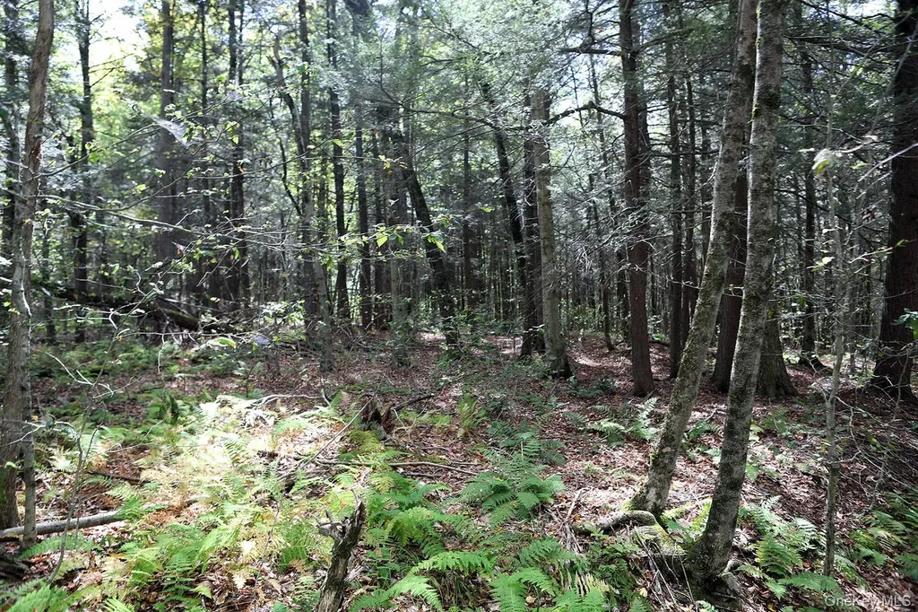 0 Rt-97 Long Eddy NY 13783