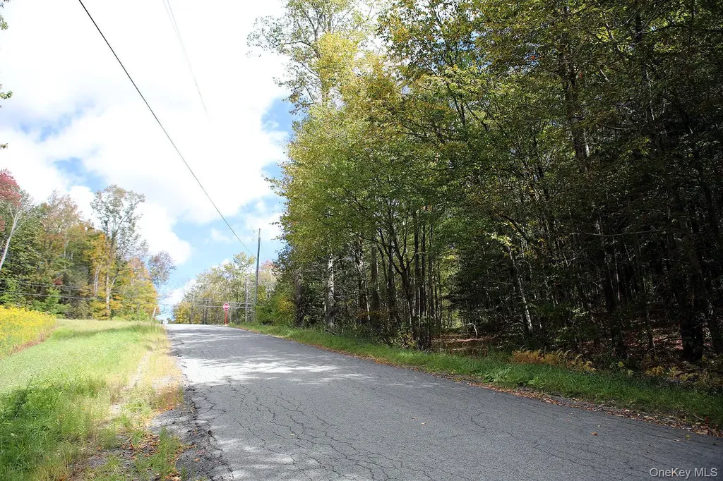 0 Rt-97 Long Eddy NY 13783