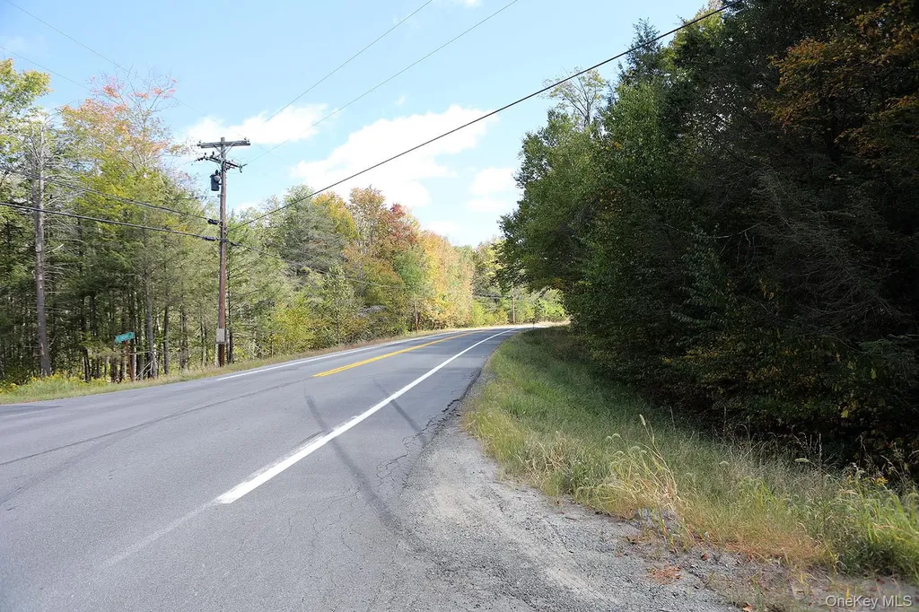 0 Rt-97 Long Eddy NY 13783