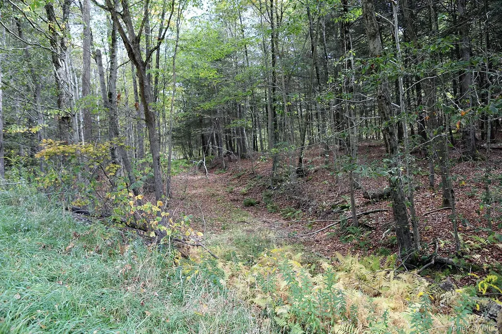 0 Rt-97 Long Eddy NY 13783