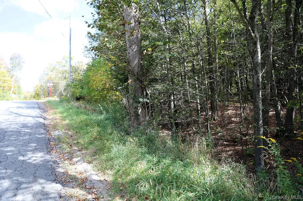 0 Rt-97 Long Eddy NY 13783