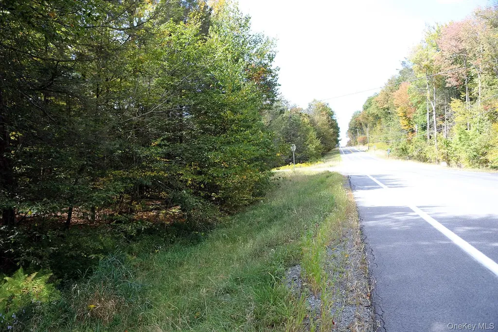 0 Rt-97 Long Eddy NY 13783