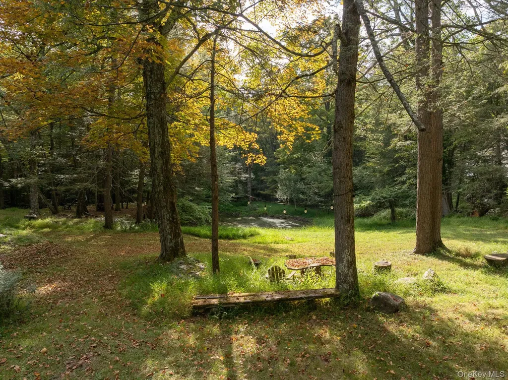 241 Silver Hollow Road Willow NY 12495
