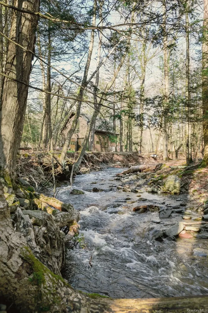 241 Silver Hollow Road Willow NY 12495