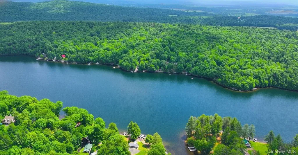 302 Hadlock Pond Call Listing Agent NY 12827