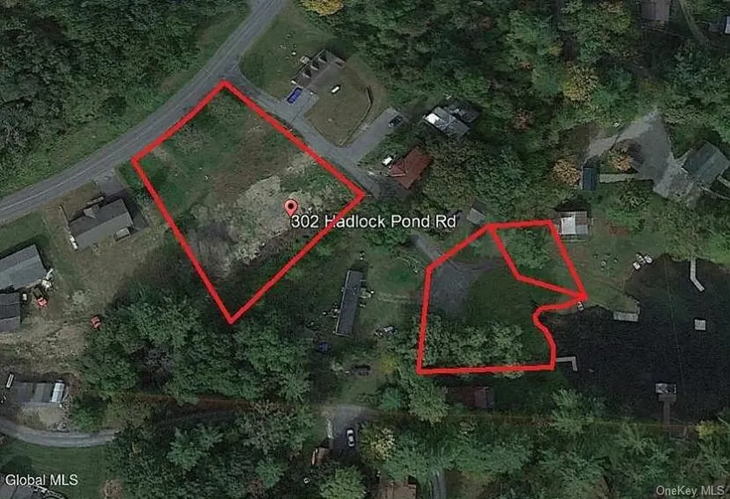 302 Hadlock Pond Call Listing Agent NY 12827