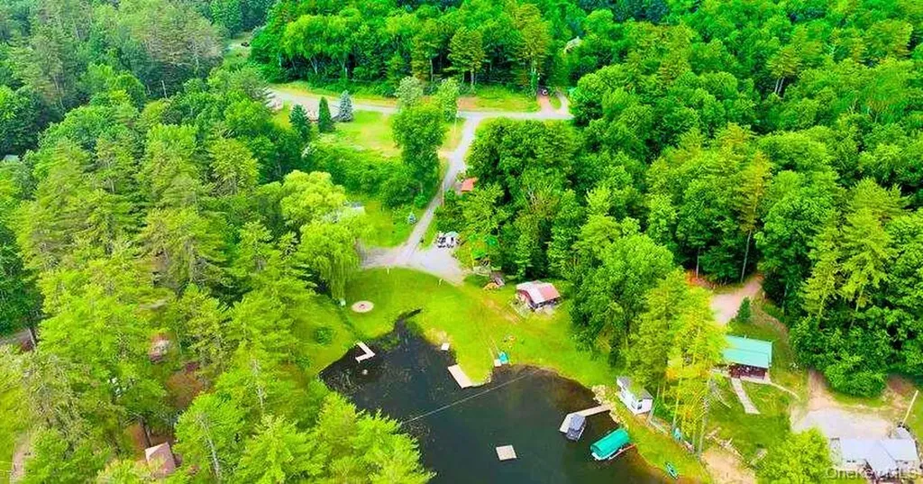 302 Hadlock Pond Call Listing Agent NY 12827