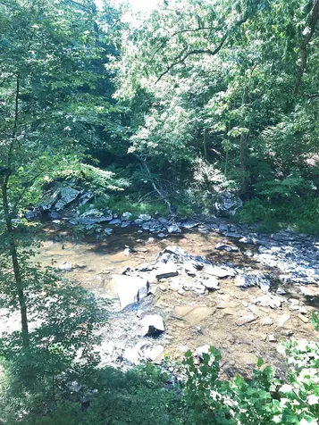 537 Mossy Hill Road Catskill NY 12414